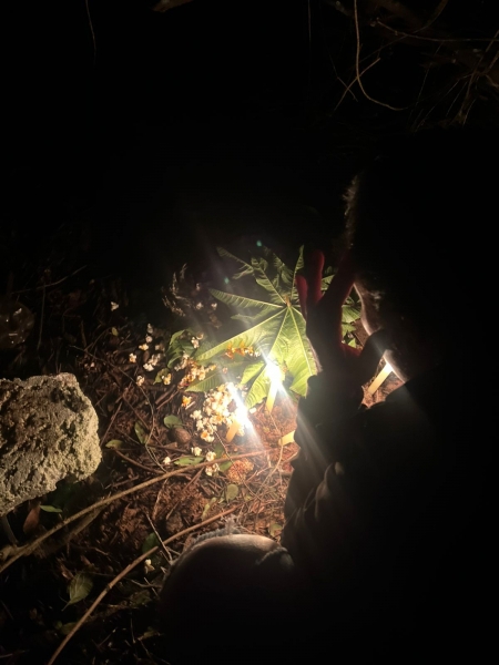 Imagem JPG, Indisponível